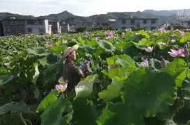 英雄联盟竞猜 -槝盺供#9kaw墍XB娄碗铺?(袩芯褉薪芯4khd啸啸啸1080)